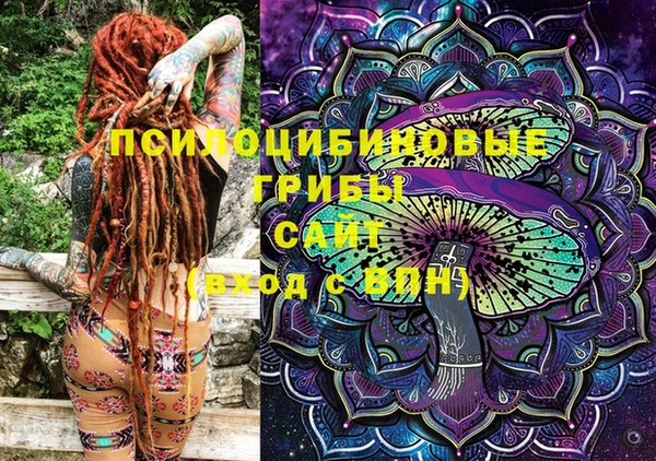 стафф Алексин
