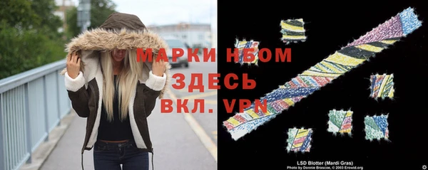 стафф Алексин