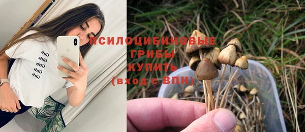 молекула духа Алексеевка