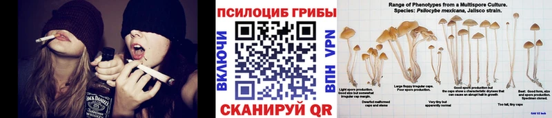 где купить наркоту  Ипатово  Галлюциногенные грибы Cubensis 