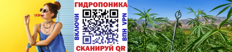 Шишки марихуана THC 21% ОМГ ОМГ сайт Ипатово